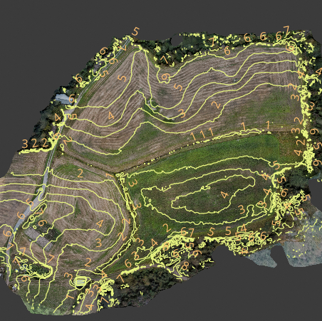 Ortoilmakuva ja käyrät