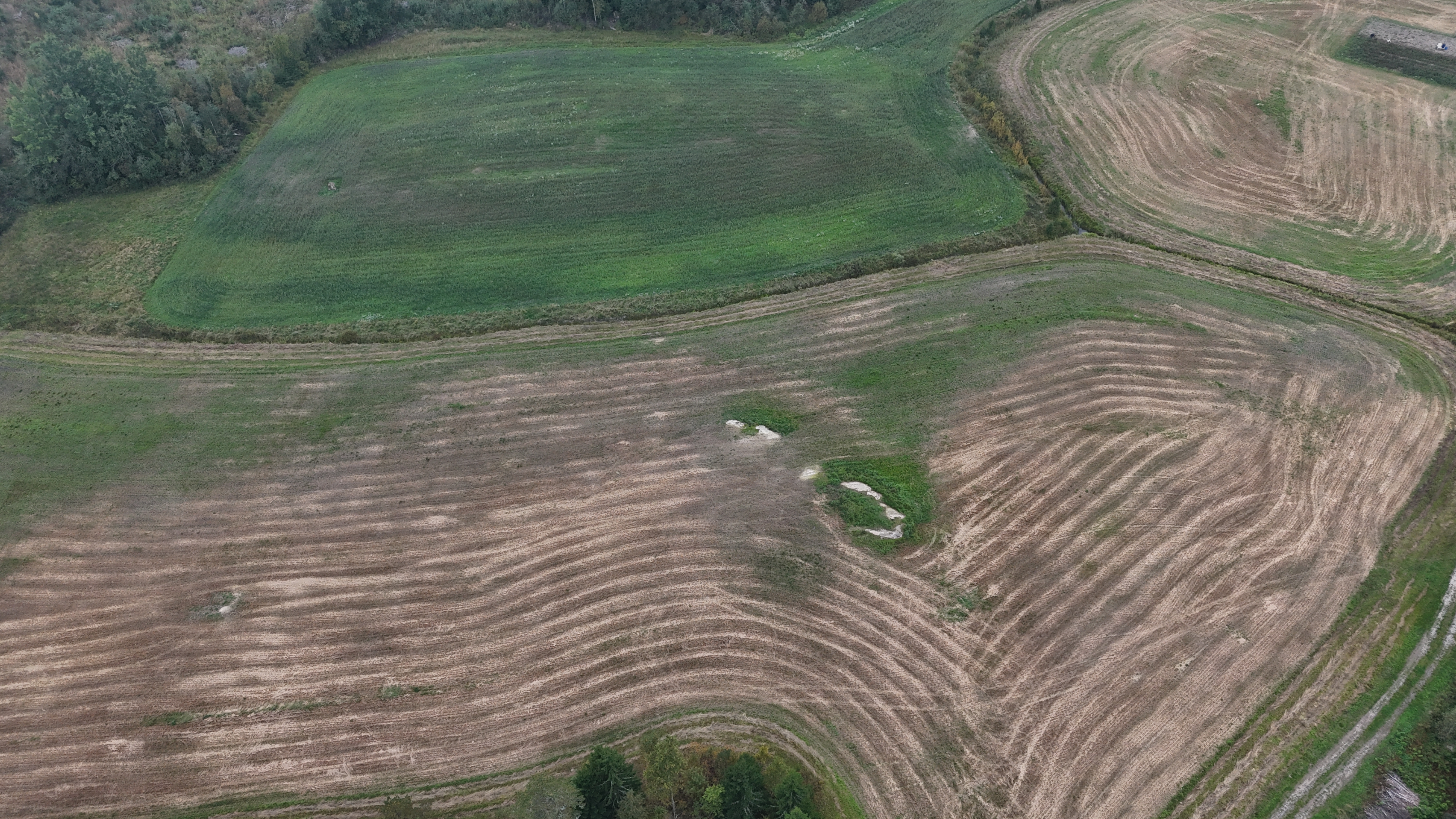 Aerial ortoilmakuva pellosta